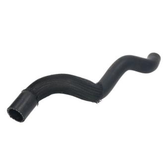 Durite de radiateur THERMOTEC DWP158TT pour FIAT QUBO 1.3 D Multijet - 80cv