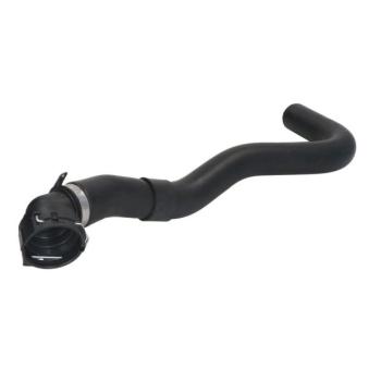 Durite de radiateur THERMOTEC DWP165TT pour CITROEN JUMPY 2.2 BlueHDi 120 - 120cv