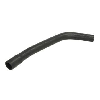 Durite de radiateur THERMOTEC DWR120TT pour RENAULT R19 1.9 D - 64cv