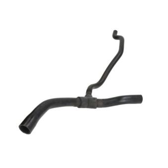 Durite de radiateur THERMOTEC DWR135TT pour RENAULT THALIA 1.4 - 75cv