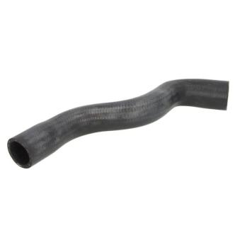 Durite de radiateur THERMOTEC [DWR184TT]