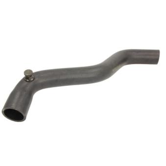 Durite de radiateur THERMOTEC OEM 7704001275