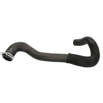 Durite de radiateur THERMOTEC [DWR285TT]