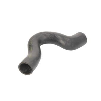 Durite de radiateur THERMOTEC [DWW025TT]