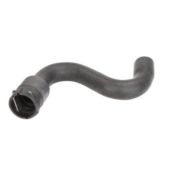 Durite de radiateur THERMOTEC [DWW128TT]