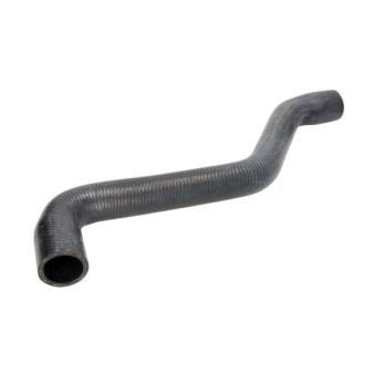 Durite de radiateur THERMOTEC OEM 1H0121101P