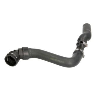 Durite de radiateur THERMOTEC OEM 1J0122101B