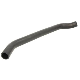 Durite de radiateur THERMOTEC [DWW299TT]