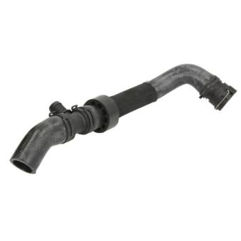 Durite de radiateur THERMOTEC [DWW312TT]