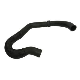 Durite de radiateur THERMOTEC OEM 1K0121156DN