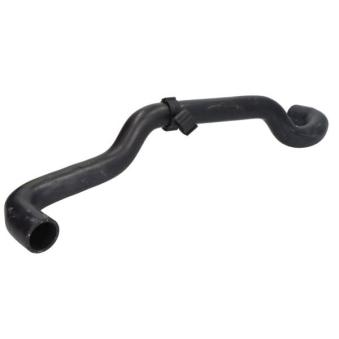 Durite de radiateur THERMOTEC DWW475TT pour VOLKSWAGEN MULTIVAN 1.9 TDI - 85cv