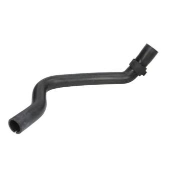Durite de radiateur THERMOTEC DWX011TT pour RENAULT MASTER 2.5 DCI - 120cv