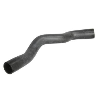Durite de radiateur THERMOTEC [DWX258TT]