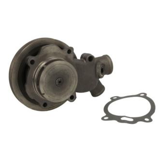 Pompe à eau THERMOTEC OEM 41313237