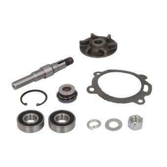 Kit de réparation, pompe à eau THERMOTEC OEM 3637482M91