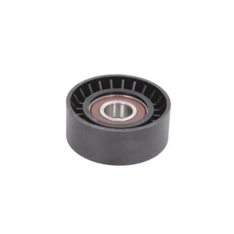 Poulie renvoi/transmission, courroie trapézoïdale à nervures BTA E2F0014BTA