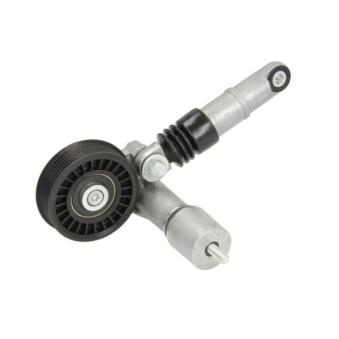 Tendeur de courroie, courroie trapézoïdale à nervures BTA E3W0018BTA pour FORD TRANSIT 1.9 TDI - 110cv