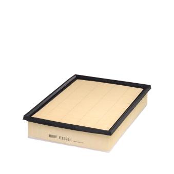 Filtre à air HENGST FILTER OEM 178010P060