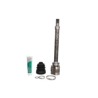 Embout de cardan avant (kit de réparation) PASCAL OEM 391003813R