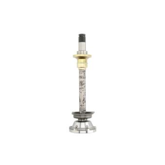 Embout de cardan avant (kit de réparation) PASCAL OEM 02G409356C