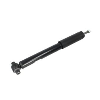 Jeu de 2 Amortisseurs arrière MAGNUM TECHNOLOGY [AGV037MT]