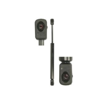 Vérin de hayon, de coffre MAGNUM TECHNOLOGY MGS0092