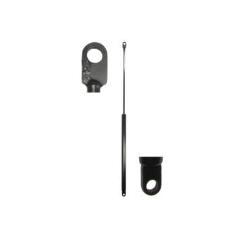 Vérin, vitre arrière MAGNUM TECHNOLOGY [MGS070]