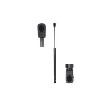 Vérin de hayon, de coffre MAGNUM TECHNOLOGY MGS1033 pour CITROEN JUMPY 1,5 VVTi - 110cv