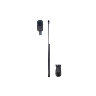 Vérin de hayon, de coffre MAGNUM TECHNOLOGY OEM 8200735264