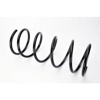 Ressort de suspension MAGNUM TECHNOLOGY OEM 1069013