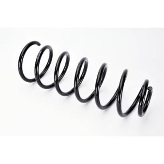 Ressort de suspension MAGNUM TECHNOLOGY OEM 424390