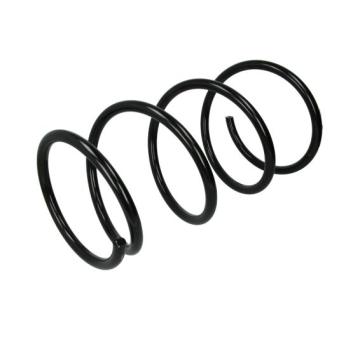 Ressort de suspension MAGNUM TECHNOLOGY OEM 4813142021