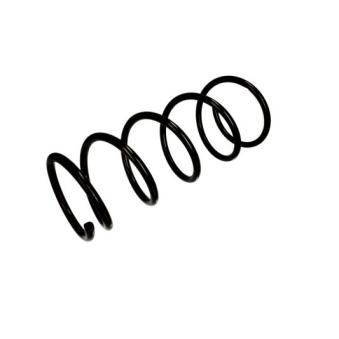 Ressort de suspension MAGNUM TECHNOLOGY [SZ2093MT]