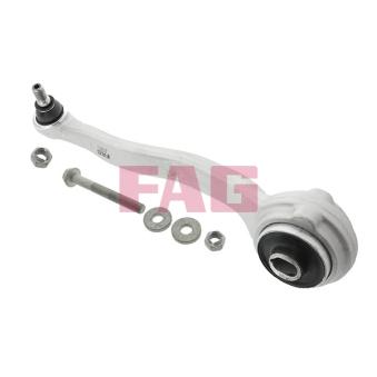 Triangle ou bras de suspension (train avant) FAG OEM 2043304311