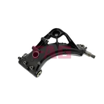 Triangle ou bras de suspension (train arrière) FAG OEM 46519897