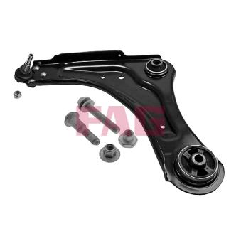 Triangle ou bras de suspension (train avant) FAG OEM 545010009R