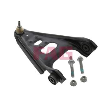 Triangle ou bras de suspension (train avant) FAG OEM 4513300010