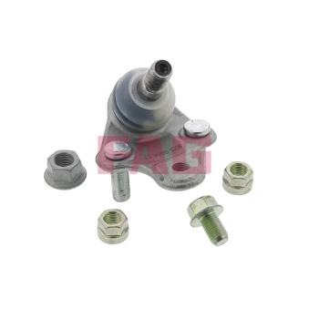 Rotule de suspension FAG 825 0006 10 pour TOYOTA MIRAI 2.0 D-4D - 110cv