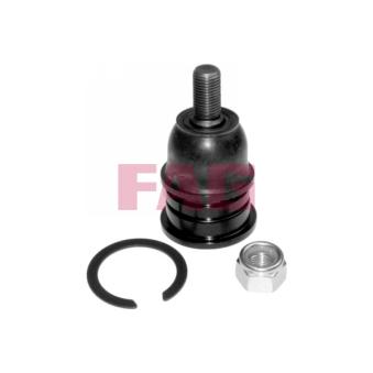 Rotule de suspension FAG OEM 4331039016