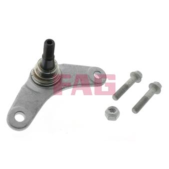 Rotule de suspension FAG OEM 31106779438 Rotule de suspension FAG OEM 31106779438