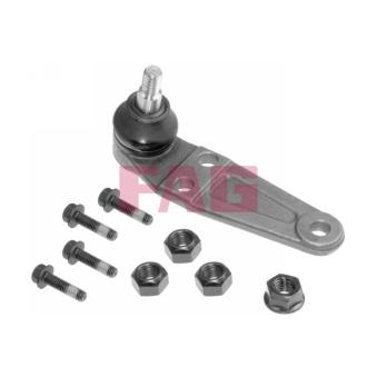 Rotule de suspension FAG OEM 1273139 Rotule de suspension FAG OEM 1273139