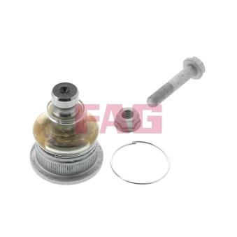 Rotule de suspension FAG 825 0245 10 pour AUDI COUPE 1.6 - 110cv