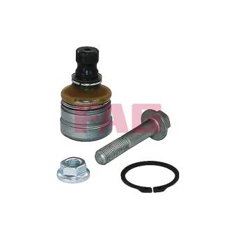 Rotule de suspension FAG OEM MR911570
