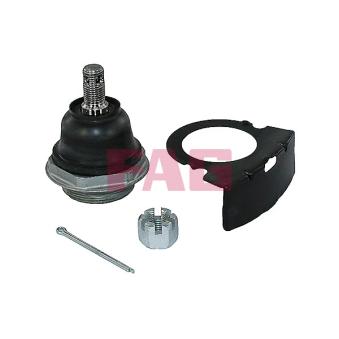 Rotule de suspension FAG OEM 517602R000 Rotule de suspension FAG OEM 517602R000