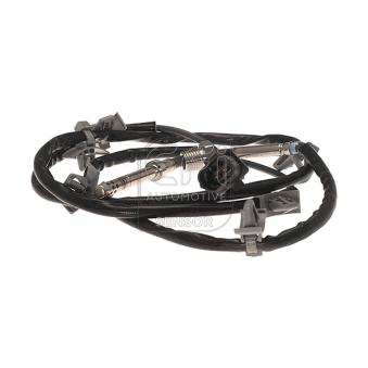 Capteur, température des gaz EFI AUTOMOTIVE OEM 55578800