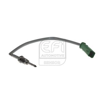 Capteur, température des gaz EFI AUTOMOTIVE [1473196]