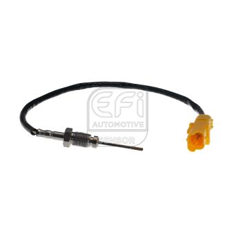 Capteur, température des gaz EFI AUTOMOTIVE 1473200