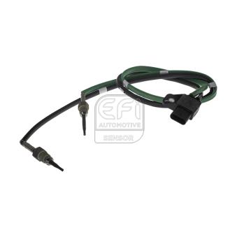 Capteur, température des gaz EFI AUTOMOTIVE [1473303]