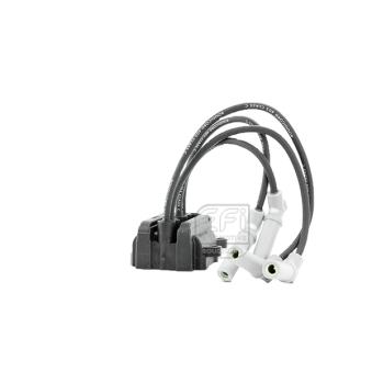 Bobine d'allumage EFI AUTOMOTIVE OEM 6001544755