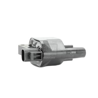 Bobine d'allumage EFI AUTOMOTIVE 155096